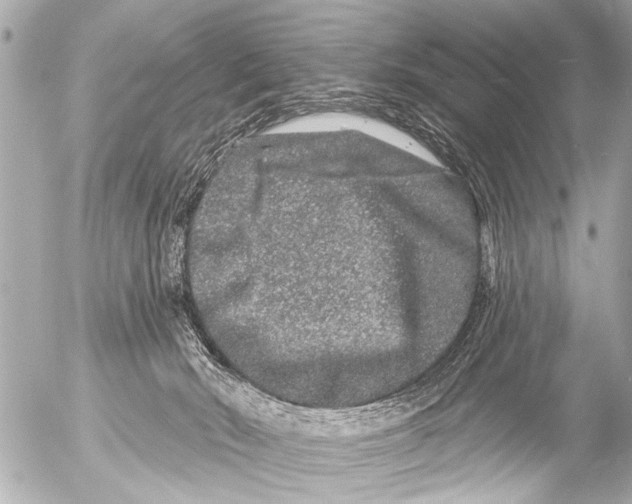 X0000054460030200508270115
