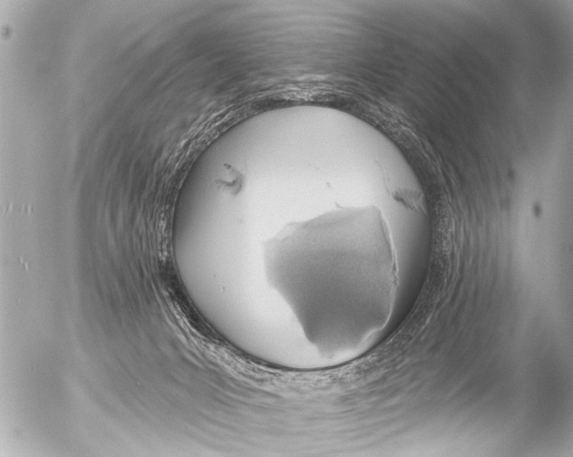 X0000054460031200508270115