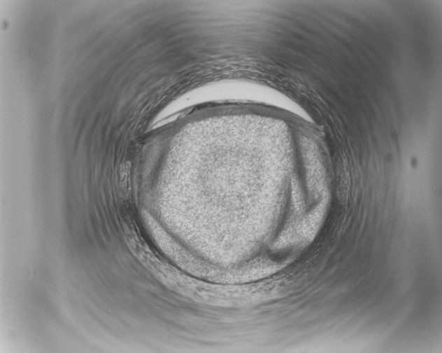 X0000054460034200508270115
