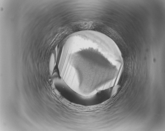 X0000054460035200508270115