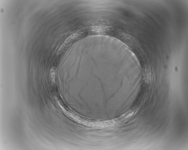 X0000054460036200508270115