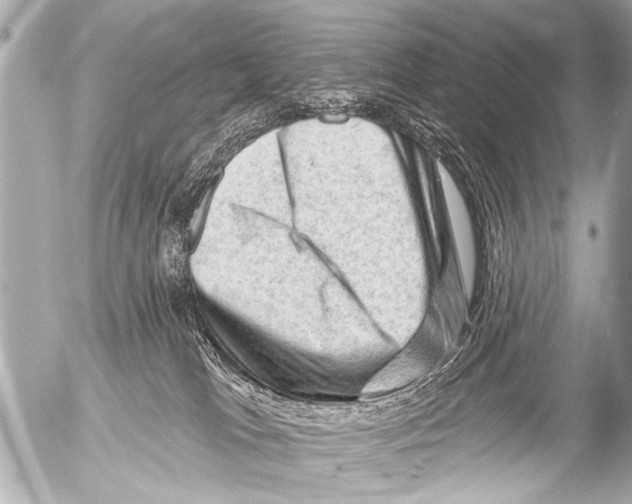 X0000054460037200508270115