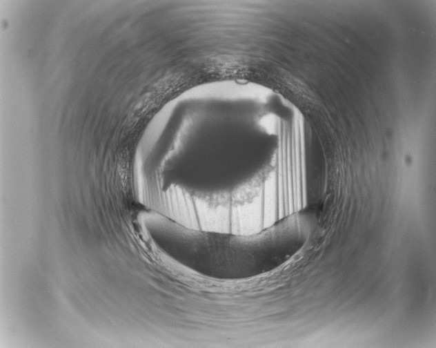 X0000054460039200508270115