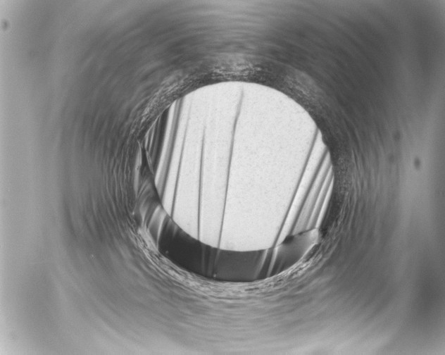 X0000054460040200508270115