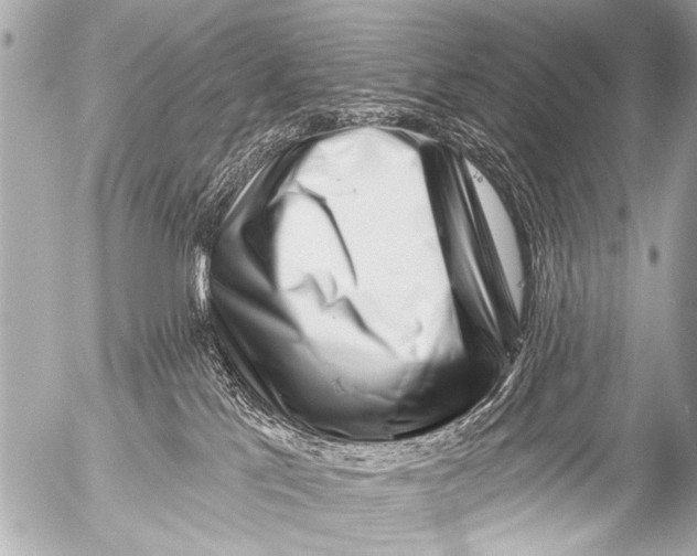 X0000054460041200508270115