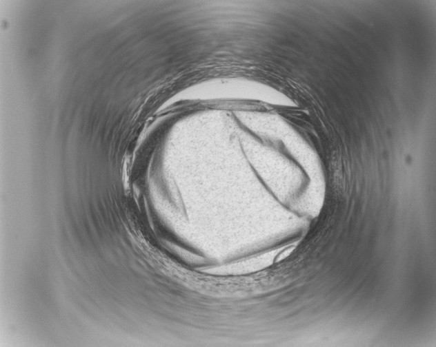 X0000054460042200508270115