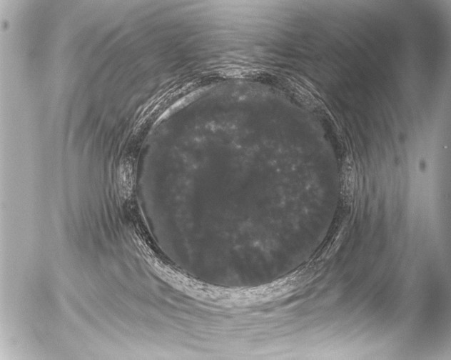X0000054460043200508270115
