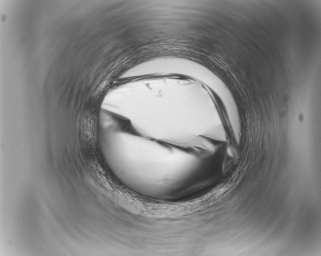 X0000054460044200508270115