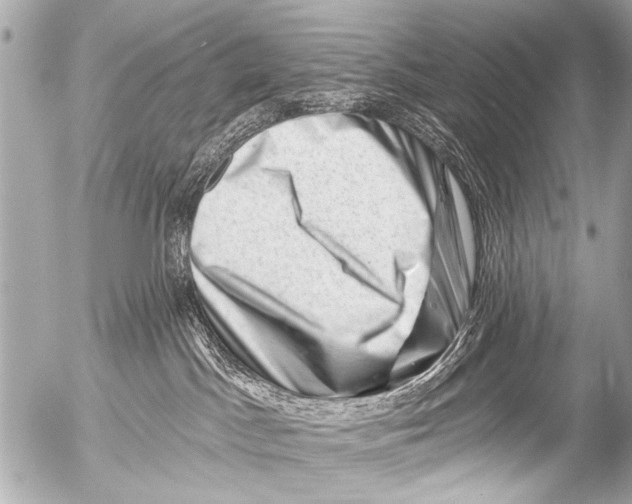 X0000054460045200508270115