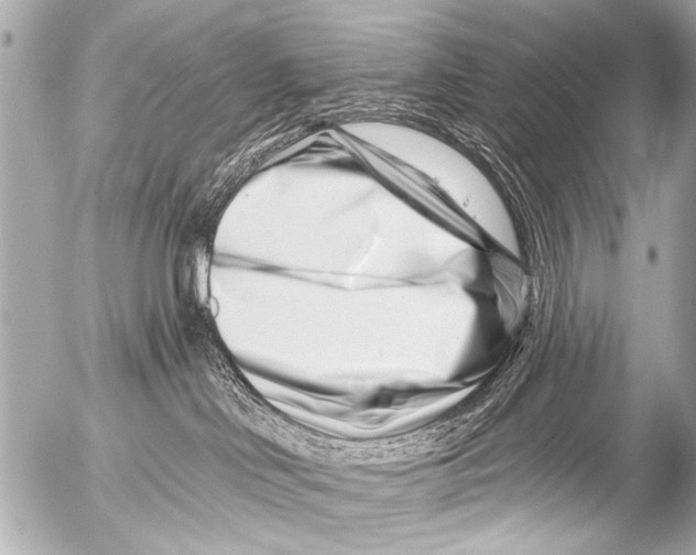 X0000054460046200508270115