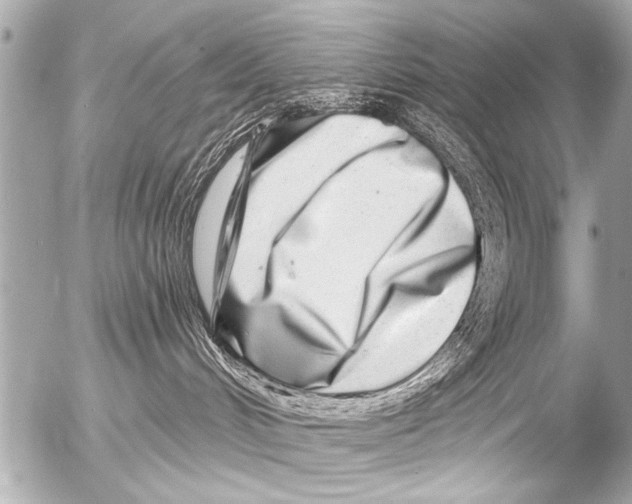 X0000054460048200508270115