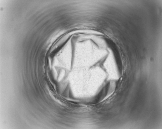 X0000054460050200508270114