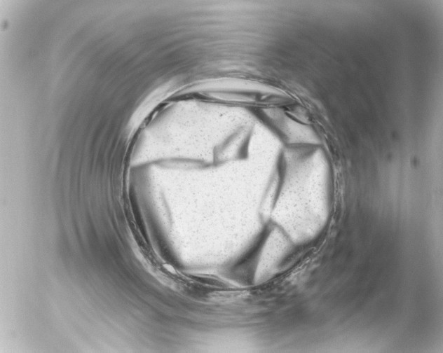 X0000054460051200508270114