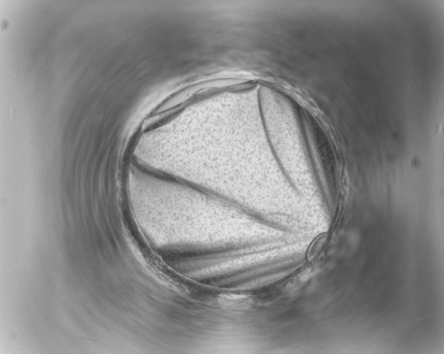 X0000054460055200508270114