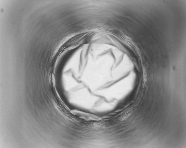 X0000054460060200508270114