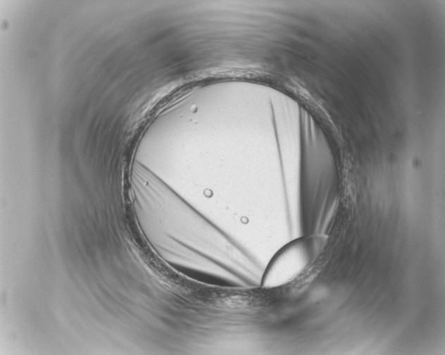 X0000054460062200508270114