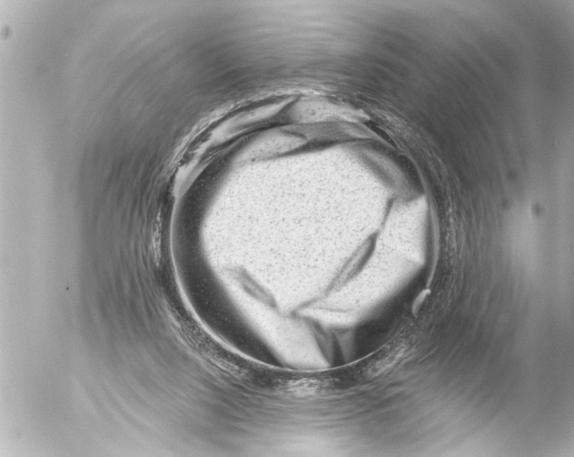 X0000054460064200508270114