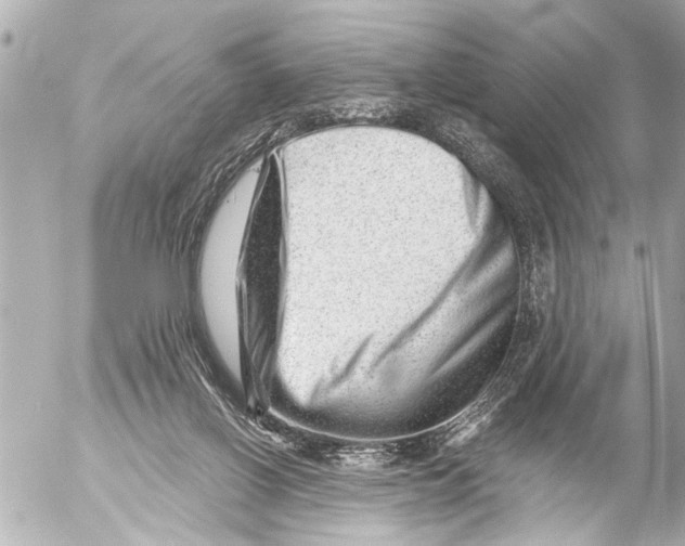 X0000054460070200508270115