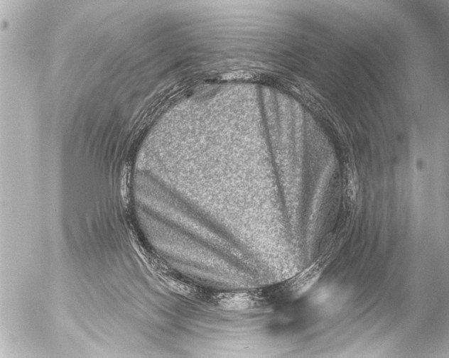 X0000054460074200508270115