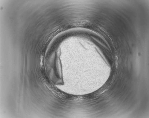 X0000054460075200508270115