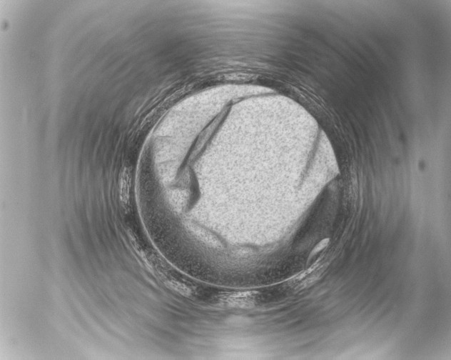 X0000054460078200508270115