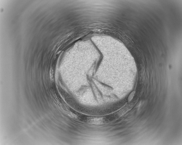 X0000054460081200508270115