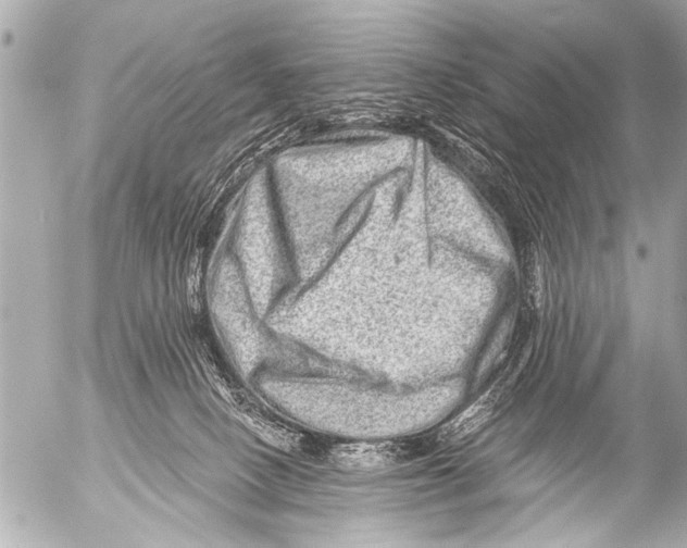 X0000054460082200508270115