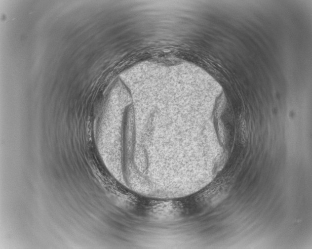X0000054460083200508270115
