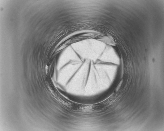 X0000054460084200508270115
