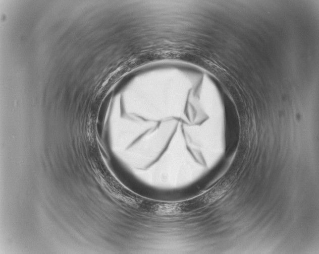 X0000054460088200508270115