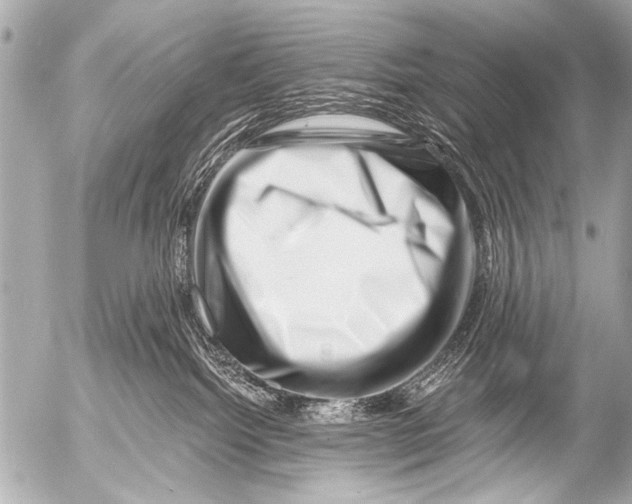 X0000054460092200508270115