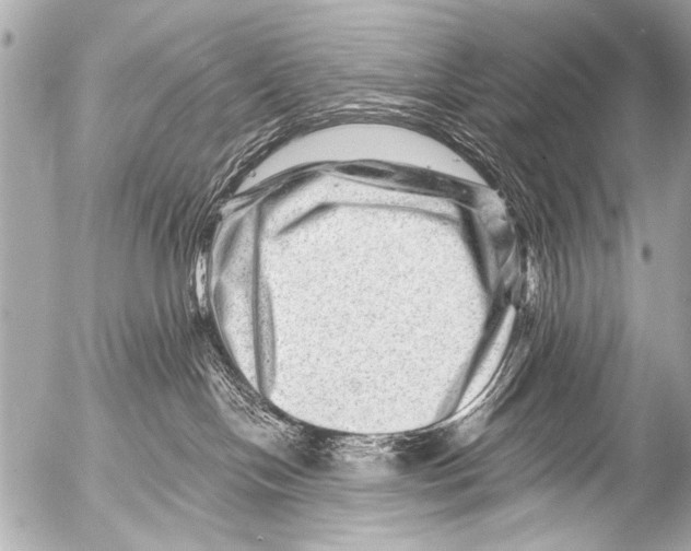 X0000054460094200508270115