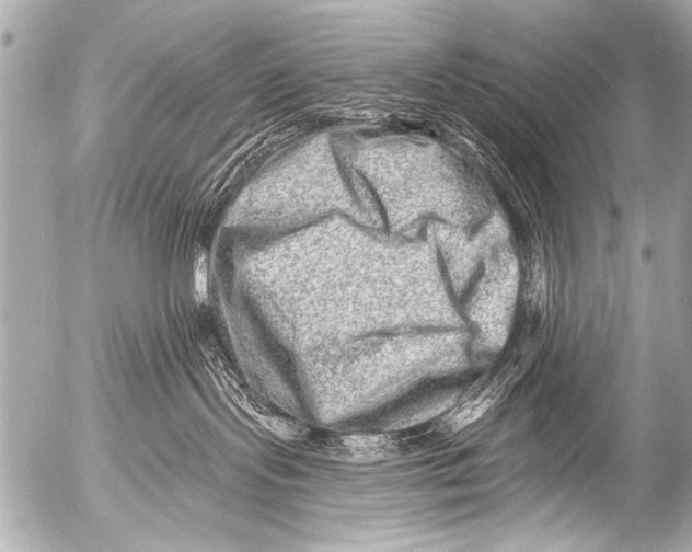 X0000054460095200508270115