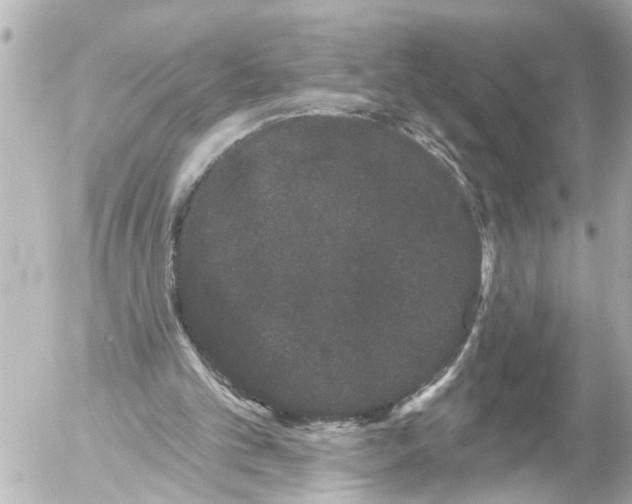 X0000054460101200508270114