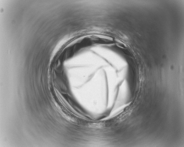 X0000054460102200508270114
