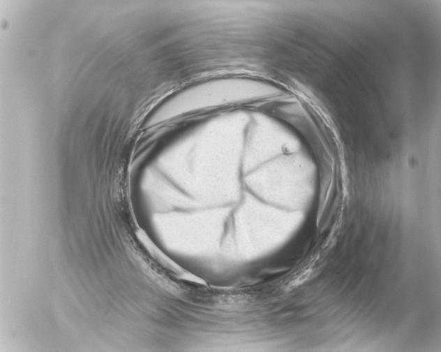 X0000054460105200508270114