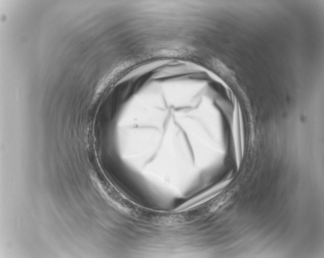 X0000054460106200508270114