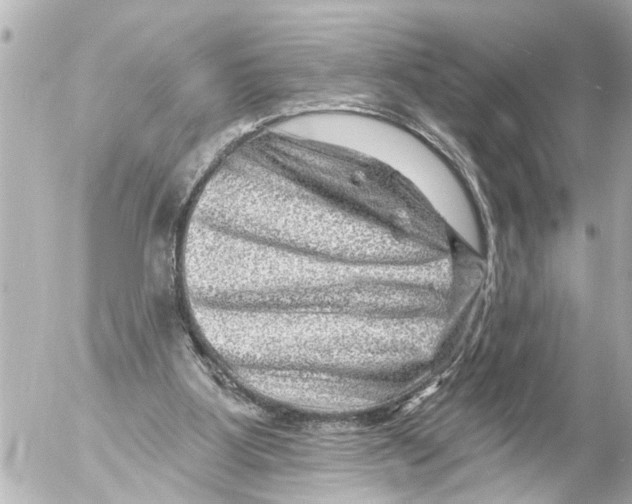 X0000054460107200508270114