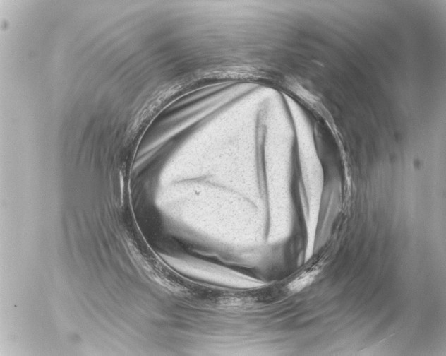 X0000054460109200508270114