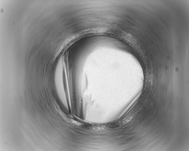 X0000054460110200508270114