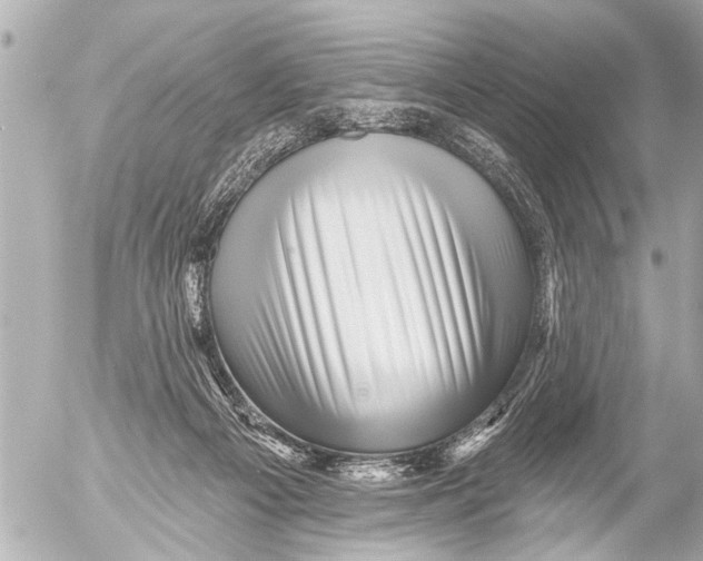 X0000054460121200508270114