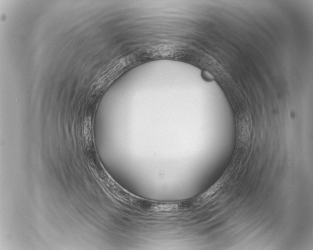 X0000054460126200508270114