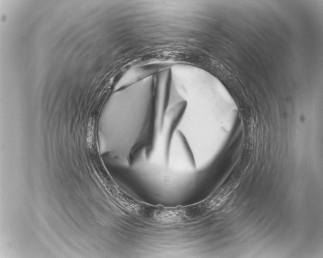 X0000054460129200508270114
