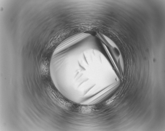X0000054460134200508270114