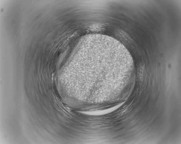 X0000054460135200508270114