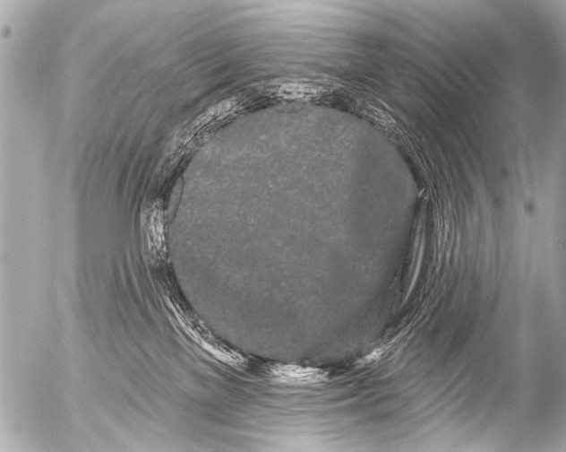 X0000054460137200508270114