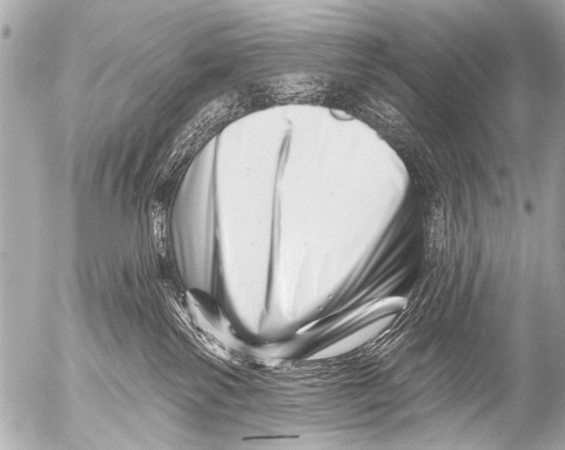 X0000054460138200508270113