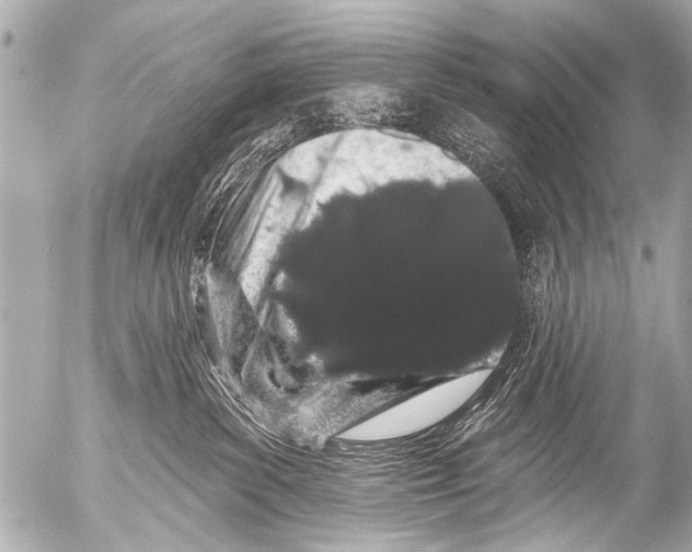 X0000054460139200508270113