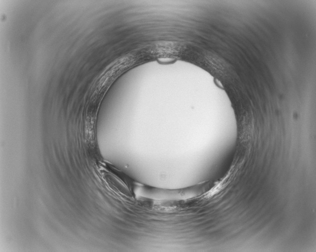 X0000054460140200508270113