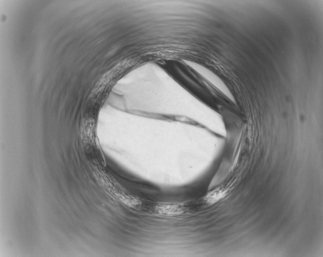 X0000054460141200508270113